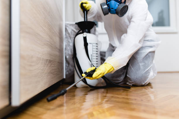 Best Pest Prevention Services  in Williamson, AZ