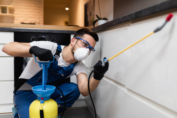 Best Affordable Pest Control Services  in Williamson, AZ