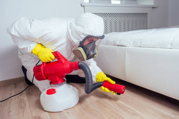 Best Affordable Pest Control Services  in Williamson, AZ