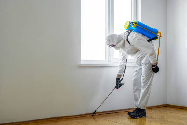 Best Pest Prevention Services  in Williamson, AZ