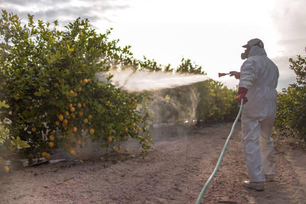 Best Pest Removal Services  in Williamson, AZ