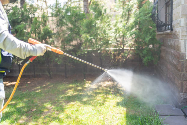 Reliable Williamson, AZ Pest Control Solutions