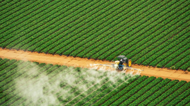 Best Affordable Exterminators  in Williamson, AZ